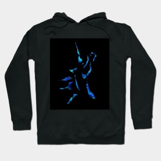 Torrent Hoodie